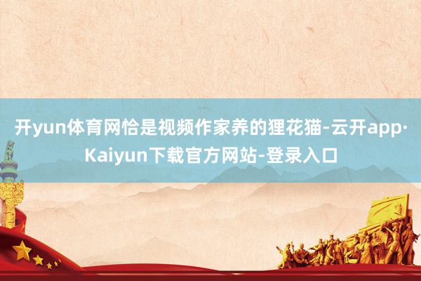 开yun体育网恰是视频作家养的狸花猫-云开app·Kaiyun下载官方网站-登录入口